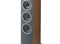 Focal Theva N°2 — Wysokiej jakości kolumny podłogowe z przetwornikami Slatefiber Dark Wood - 2