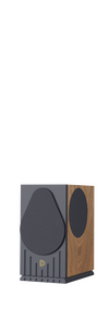 Diora Polaris 1 Orzech