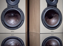DALI Sonik 3 — Kolumny podstawkowe hi-fi z Clarity Cone™ Orzech - 9