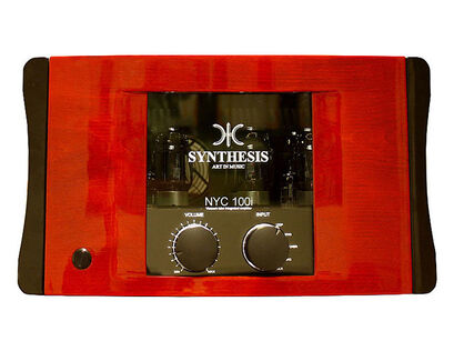 SYTNTHESIS METROPOLIS NYC100i