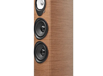 Sonus Faber Sonetto VIII G2 — Kolumny podłogowe premium dla audiofilów Walnut - 2