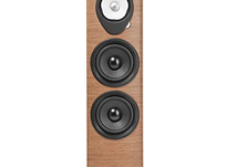 Sonus Faber Sonetto VIII G2 — Kolumny podłogowe premium dla audiofilów Walnut - 4