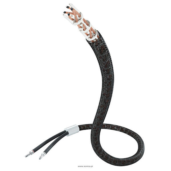 IN-AKUSTIK REFERENZ NF-1204 AIR RCA