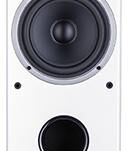 WILSON  RAPTOR 7 Biały - 5